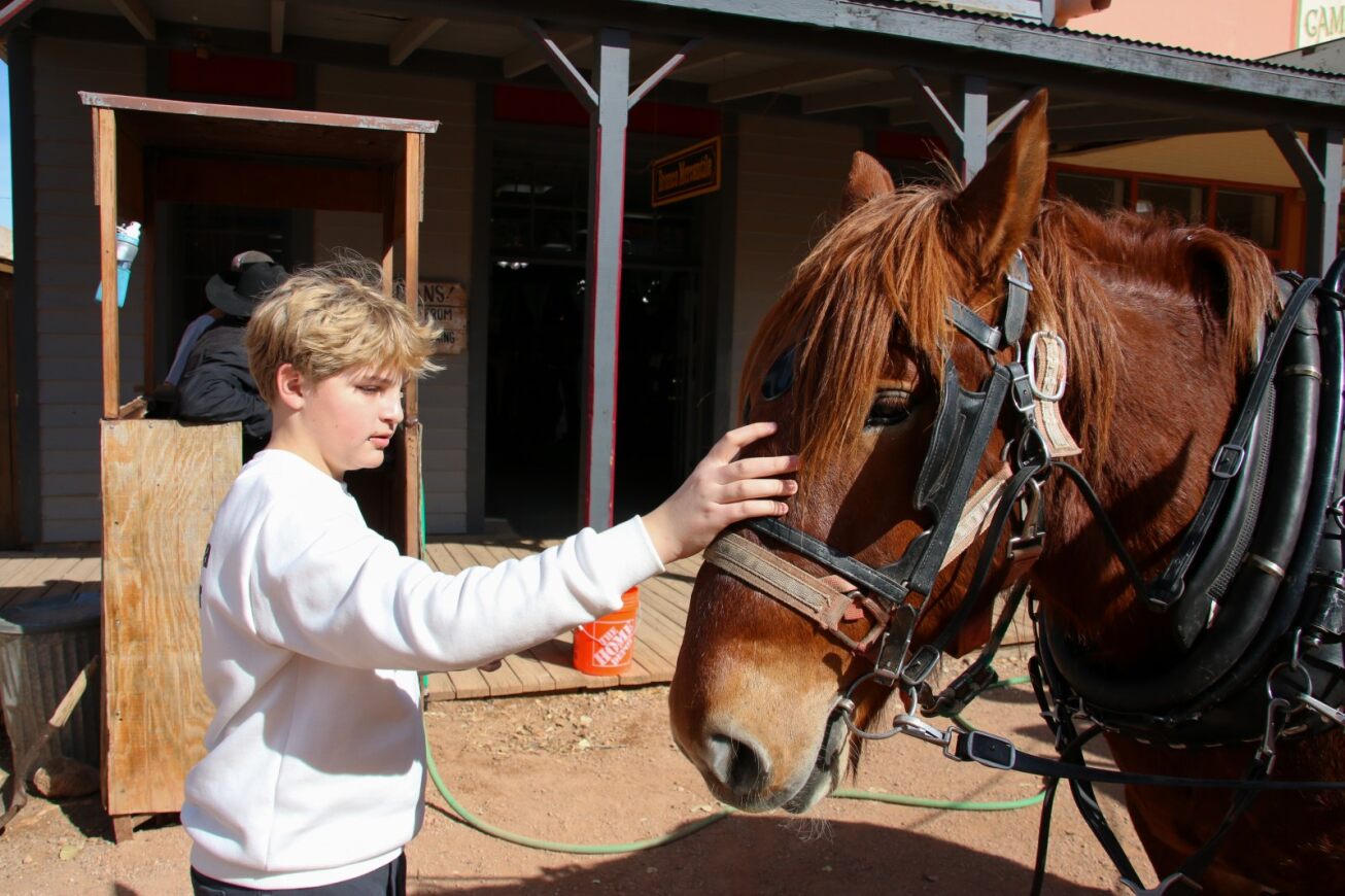 A student pets a horse during a trip to Tombstone