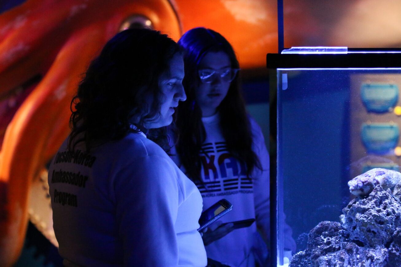 Students check out an aquarium