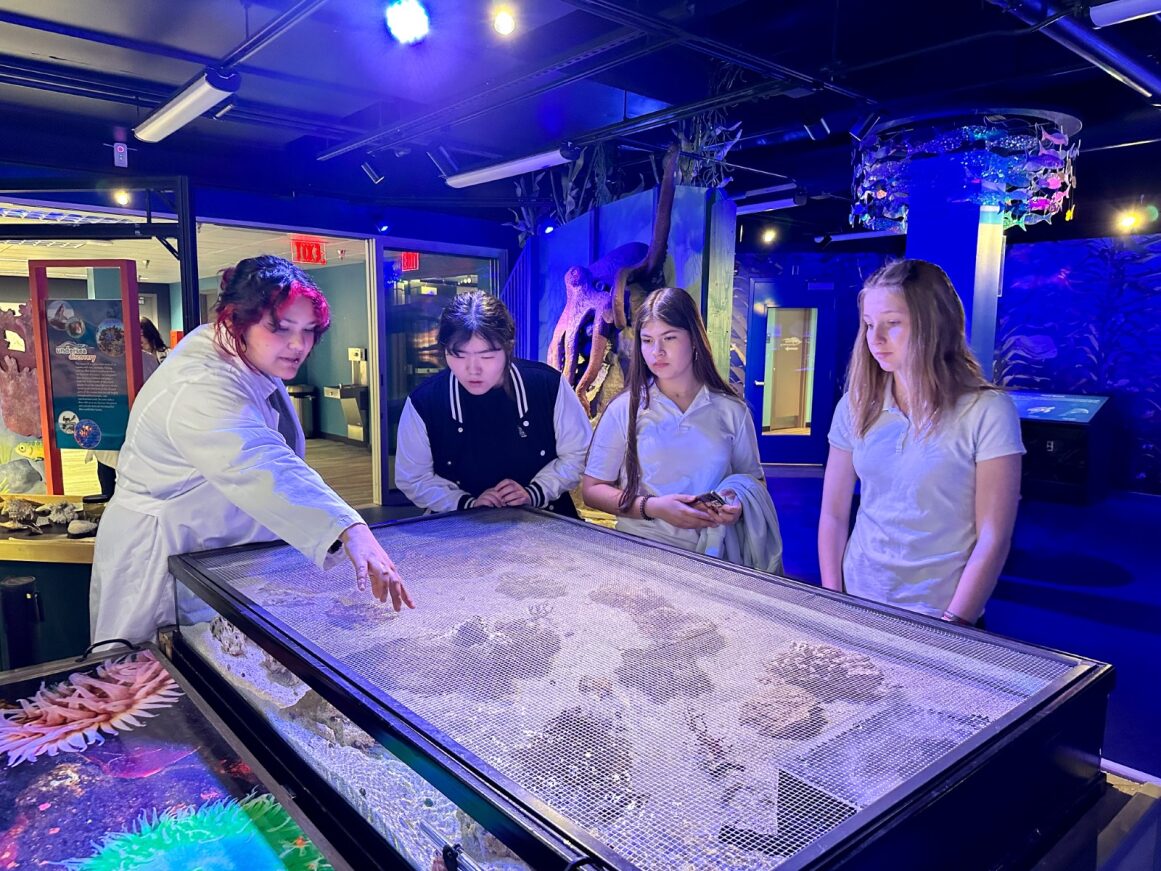 A staff member points out a science exhibit to students