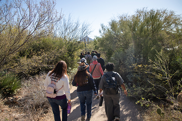 Students walk down a path outside at the Desert Museum