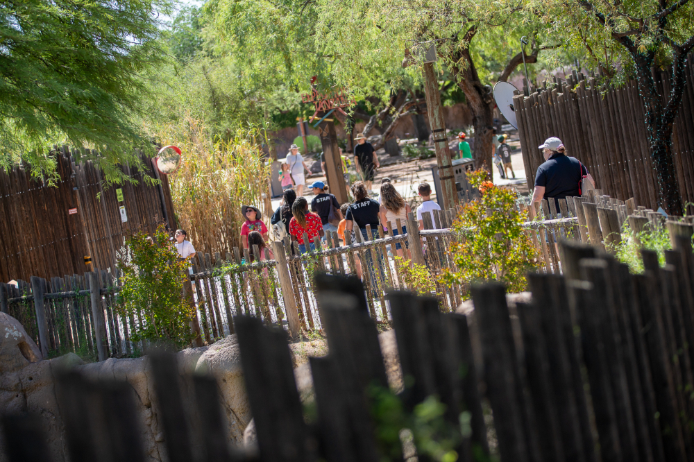 Students line up in front of a zoo exhibit