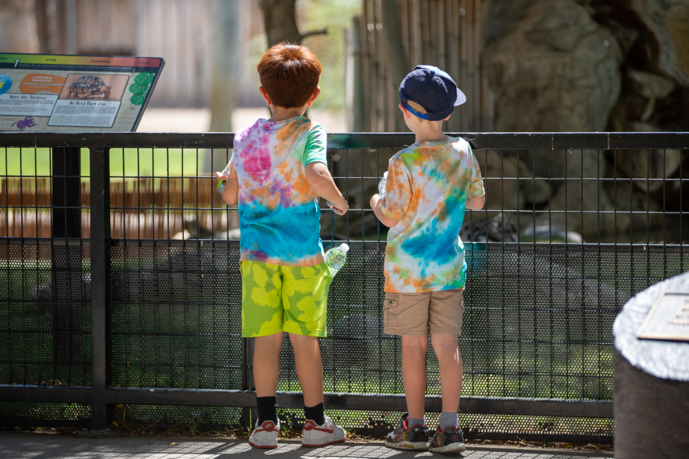 Two boys look into an animal exhibit