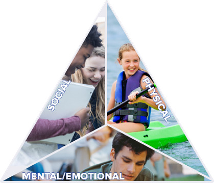 Health High School Course 1 Graphic