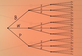 Math 7th Grade Course 6 Graphic