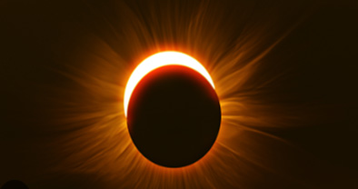Science 8th Grade Course 4 Graphic