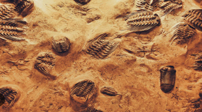 Science Earth Space Course 1 Graphic