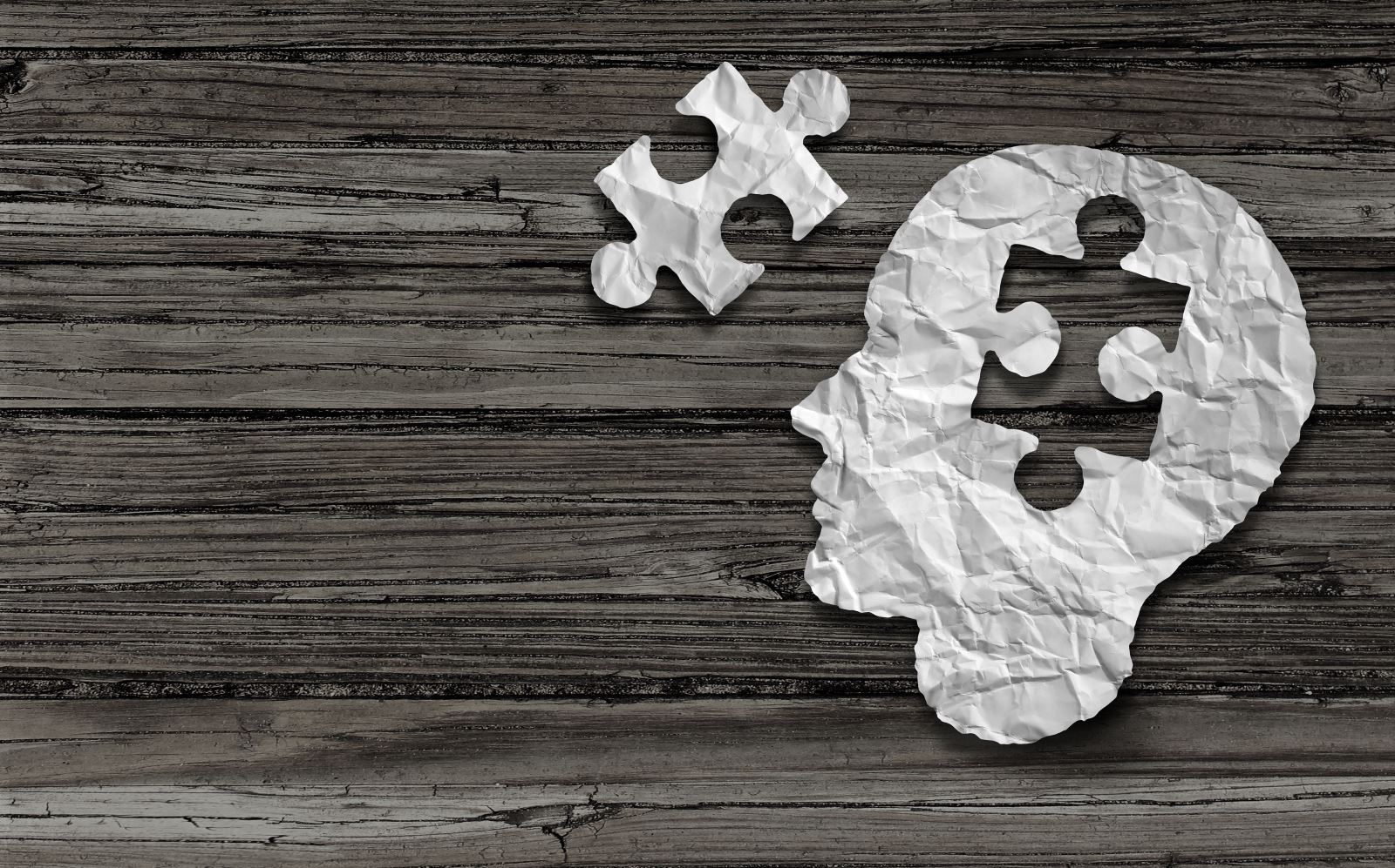 image of a puzzle piece next to a cutout of the profile of a non-gendered human head with the same puzzle piece missing