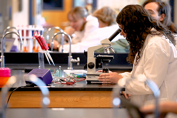 Students doing science experiments