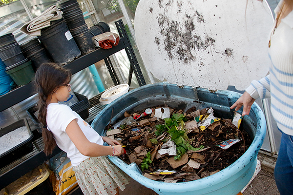 A girl looks inside a compost bin