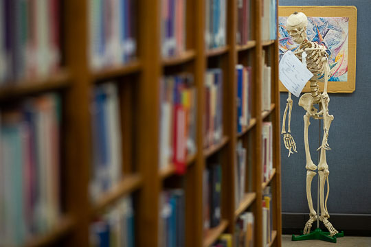 Shelves contain numerous books and other supplies for teachers to use in classes.