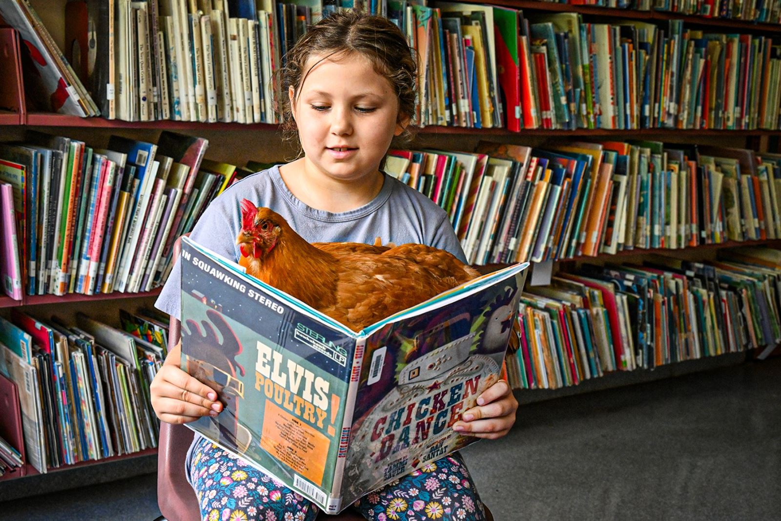 Lucy the chicken enjoys reading books with her classmates.
