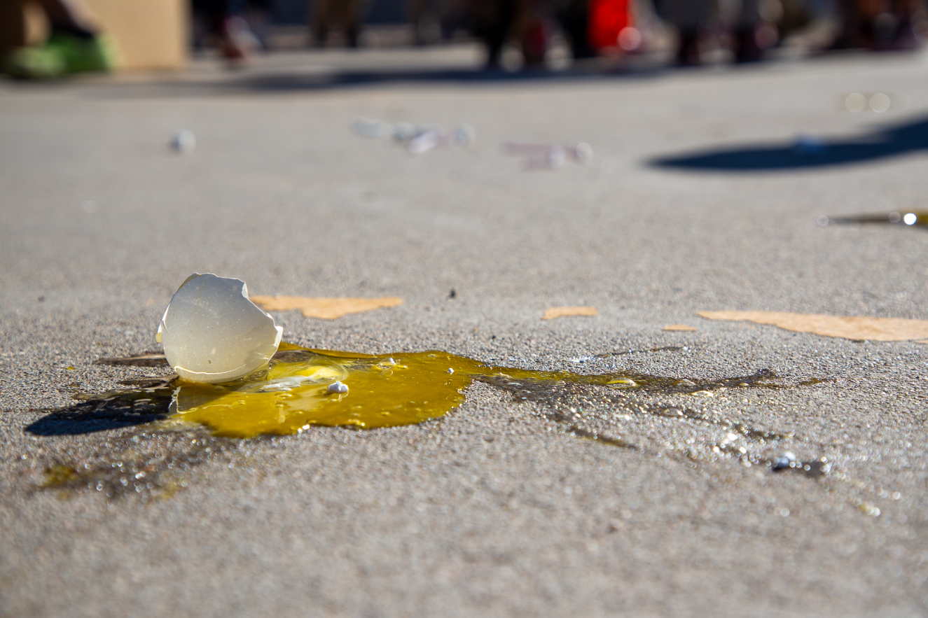 A broken egg lays cracked on the ground.