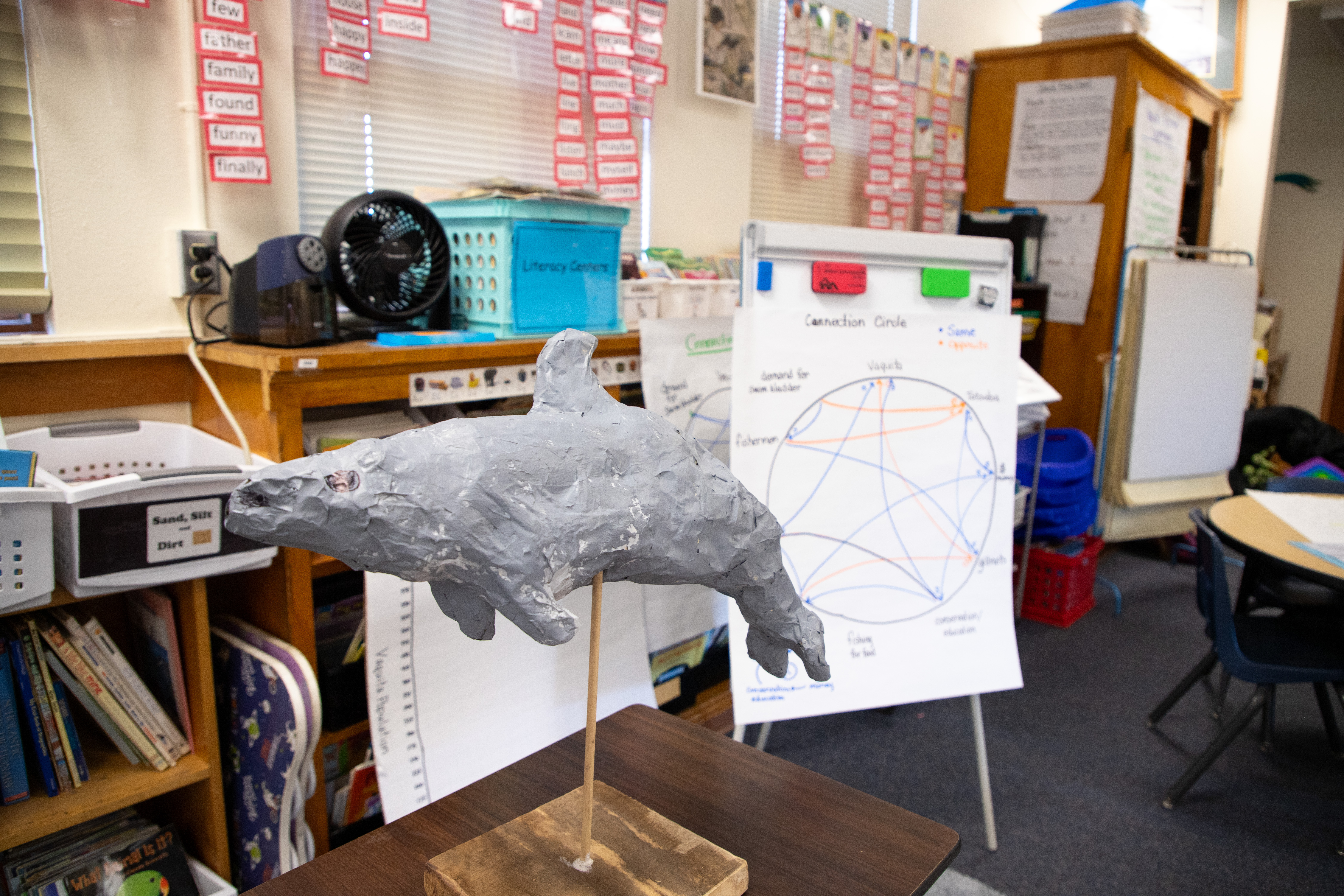 A papier mache vaquita is on display next to notes about the animal