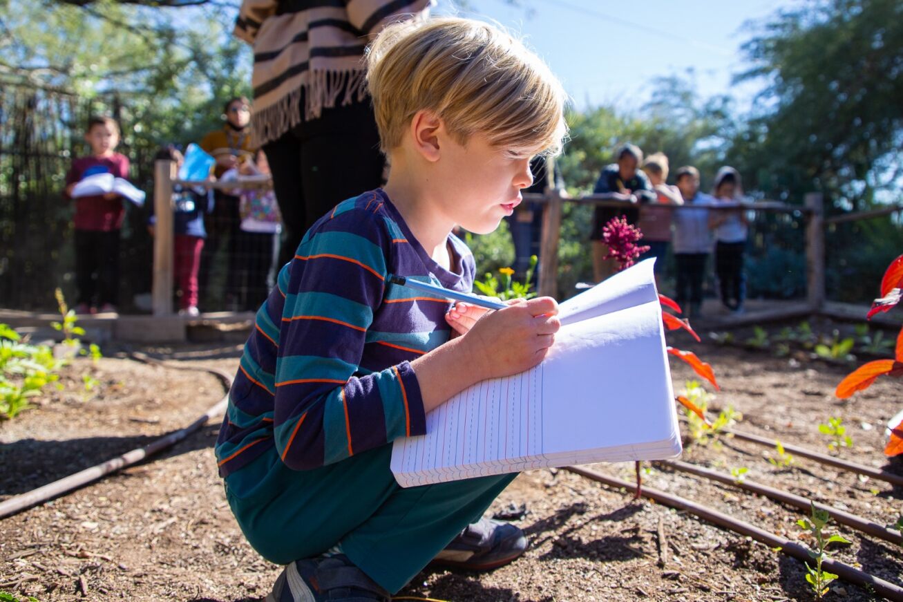 A young boy journals about the plants he's observing in the garden at Davis