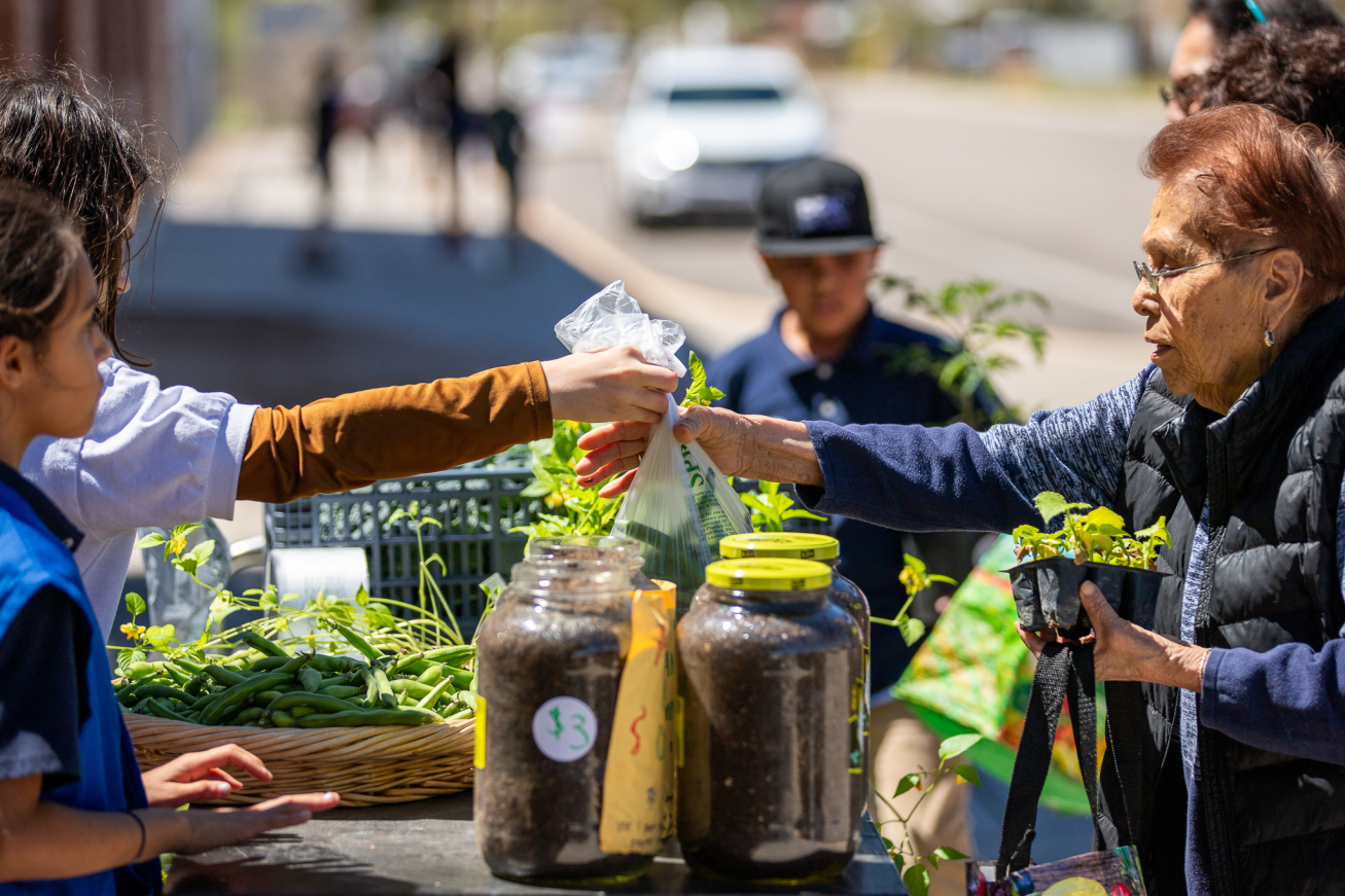 The Manzo Market happens monthly at Manzo Elementary School. The community is invited to purchase veggies and plants grown in the school's garden