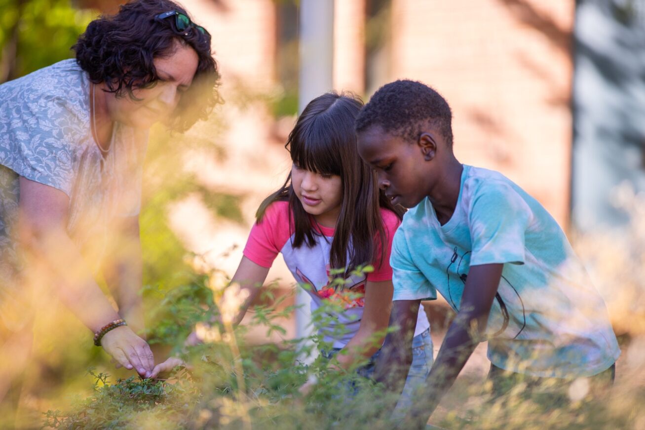 Students tend to plants in the school garden at Pueblo Gardens